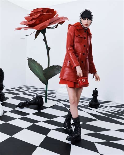 dior fall campaign